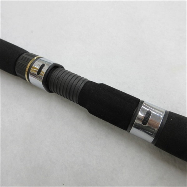 05青龍竿300Ⅱ